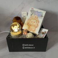 پک هدیه دخترانه ترانه